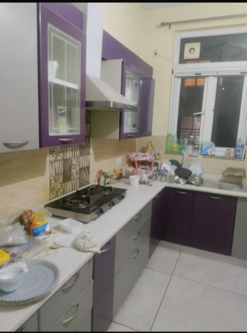 Team Area in 1 BHK Builder Floor at Sector 21d – for Rent