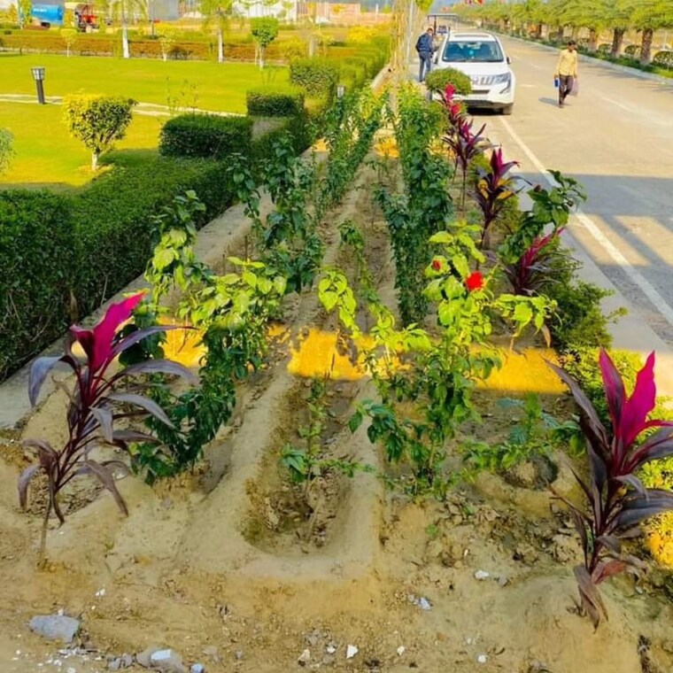 Garden, wing-lucknow-greens-plots  1311 Sq.Ft. Plot In Sultanpur Road Lucknow 9719708