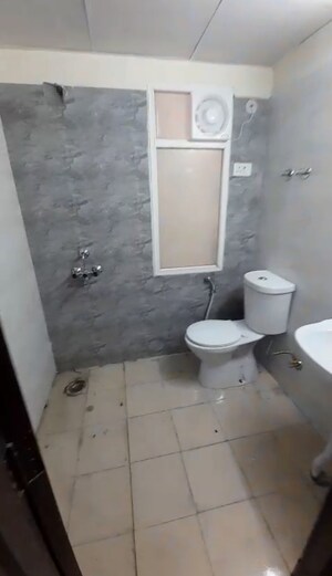 Bathroom in 2 BHK Apartment at Amrapali Dream Valley, Tech Zone 4 Greater Noida – for Rent