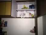 2 BHK 1250 Sq.Ft. Apartment in Swaraj Imperial