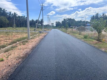  Plot For Sale in T Narsipura Road