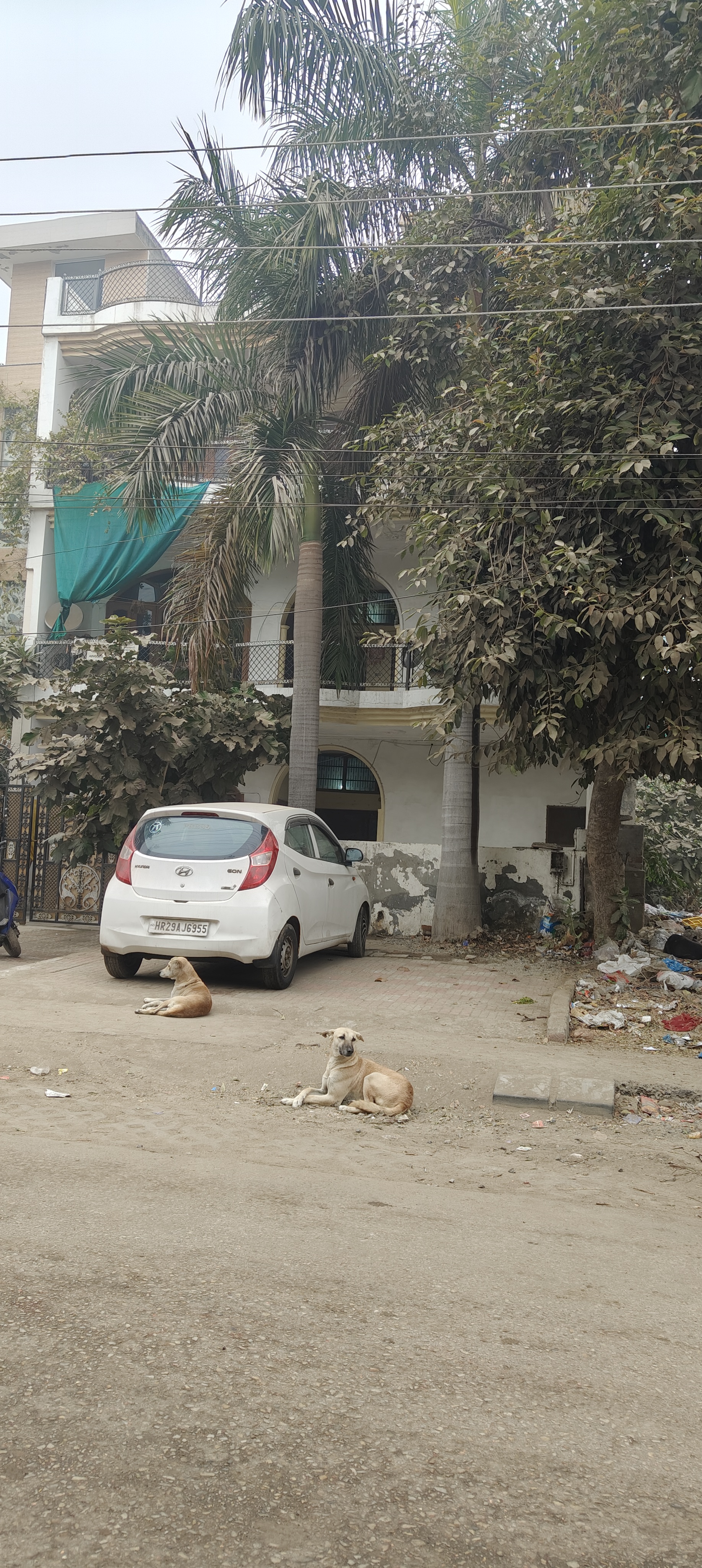 5 BHK + Pooja Room,Servant Room,Study Room,Extra Room Independent House For Sale in Independent House 