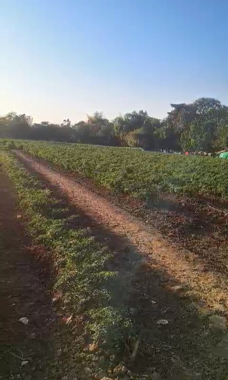 undefined, mahim  1 Acre Plot In Mahim Palghar 9720994