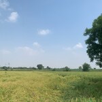 1018 Sq.Yd. Plot in Jewar Farms