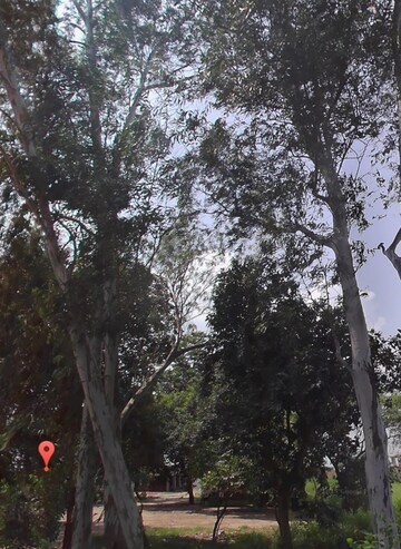  Plot For Sale in Ambala Cantt