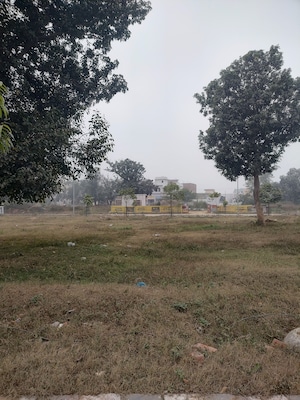  Plot For Sale in Mullanpur