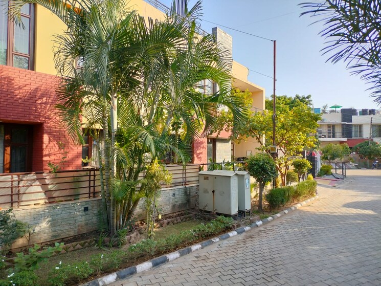 Exterior View, us-pine-homes 3 Bedroom 1350 Sq.Ft. Villa In Dhakoli Zirakpur 9721212