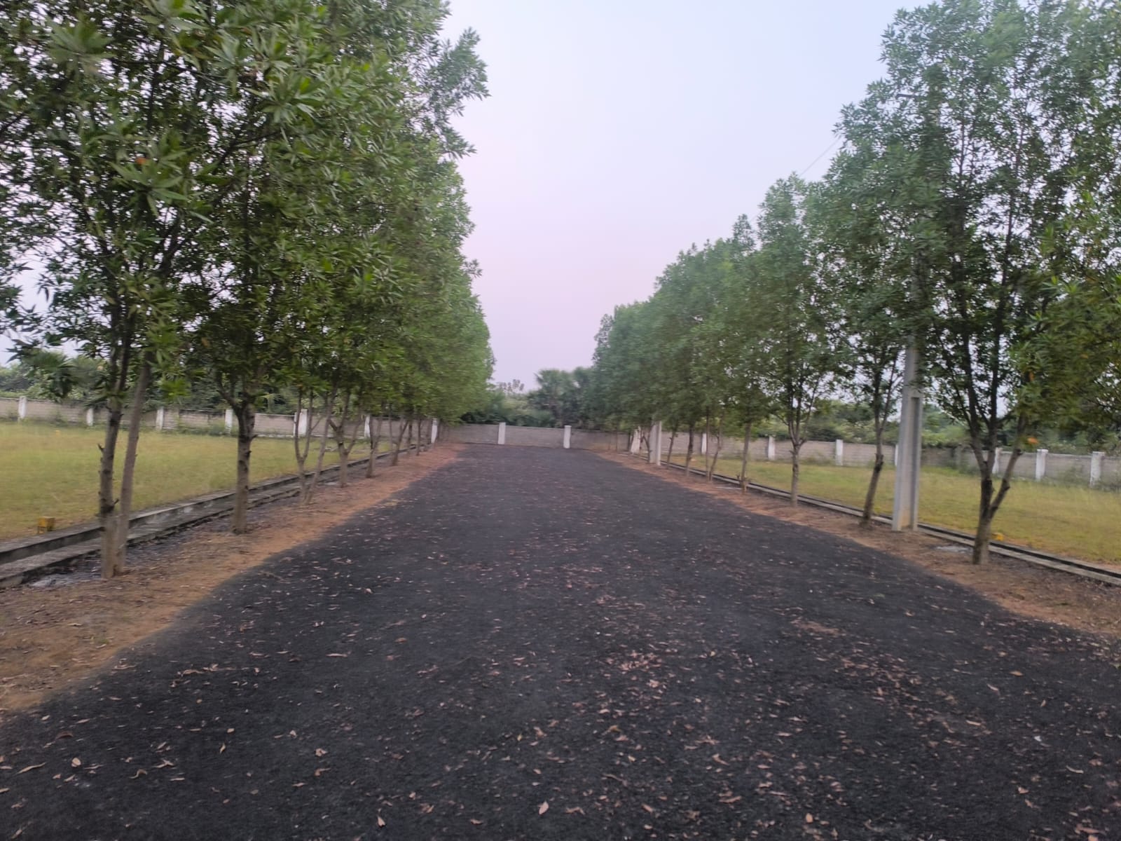 Plot For Sale in Agarwal, Dakamarri Layout