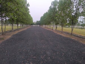  Plot – Garden View at Tagarapuvalasa - for Sale