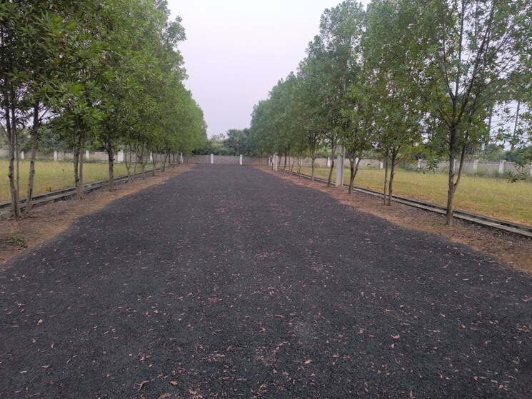 Garden, tagarapuvalasa  200 Sq.Yd. Plot In Tagarapuvalasa Vizag 9721240