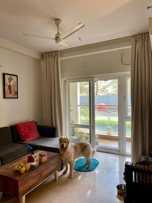 Living Room in 2.5 BHK Apartment at Prestige Pine Wood, Koramangala – for Rent