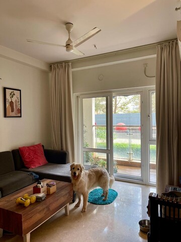 Living Room in 2.5 BHK Apartment at Prestige Pine Wood, Koramangala – for Rent