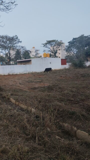 Plot Area in  Plot at Electronic City – for Sale