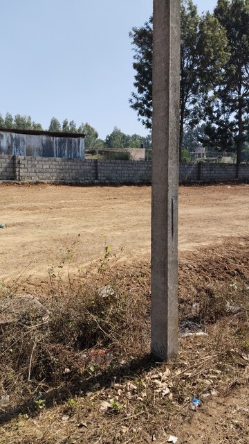 Plot Area in  Plot at Electronic City – for Sale