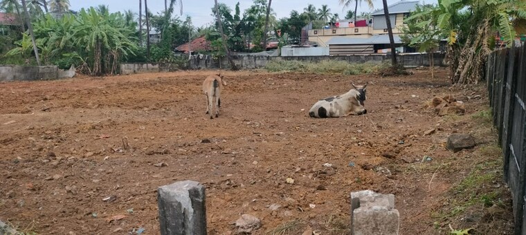 undefined, west fort  3049 Sq.Ft. Plot In West Fort Thrissur 9721528