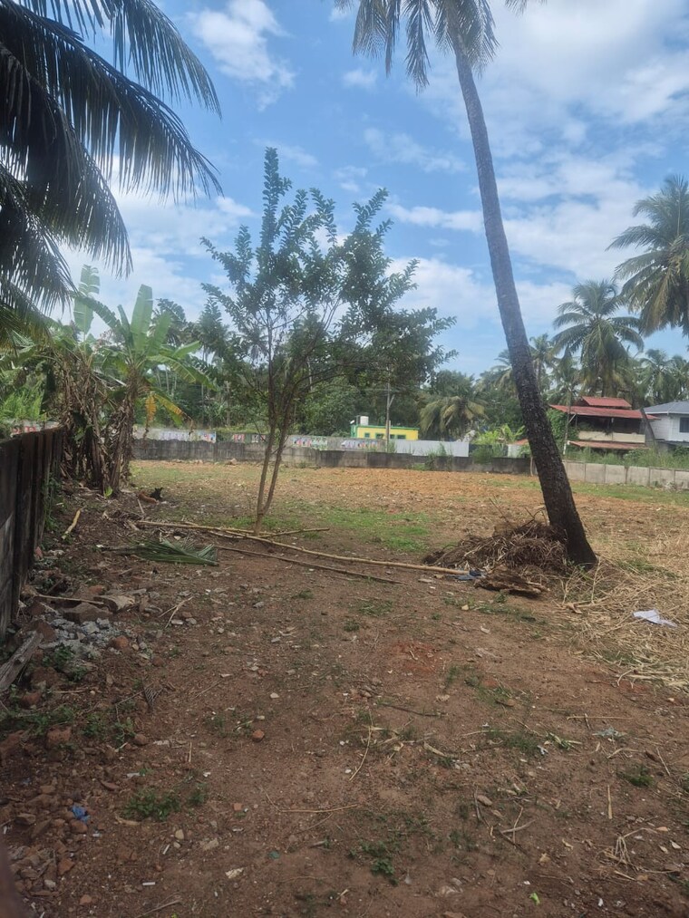 Garden, west fort  3049 Sq.Ft. Plot In West Fort Thrissur 9721528