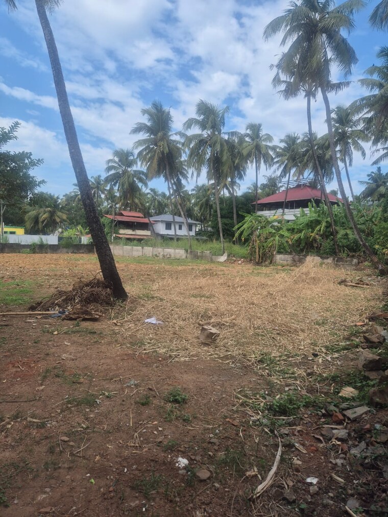 undefined, west fort  3049 Sq.Ft. Plot In West Fort Thrissur 9721528
