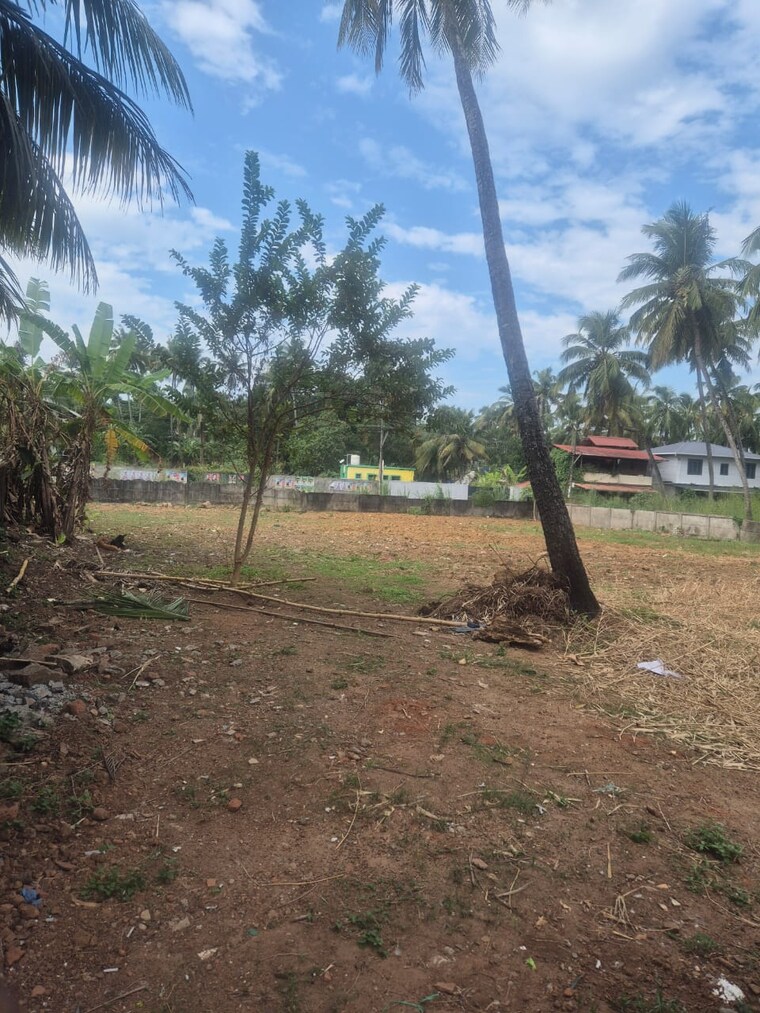 undefined, west fort  3049 Sq.Ft. Plot In West Fort Thrissur 9721528