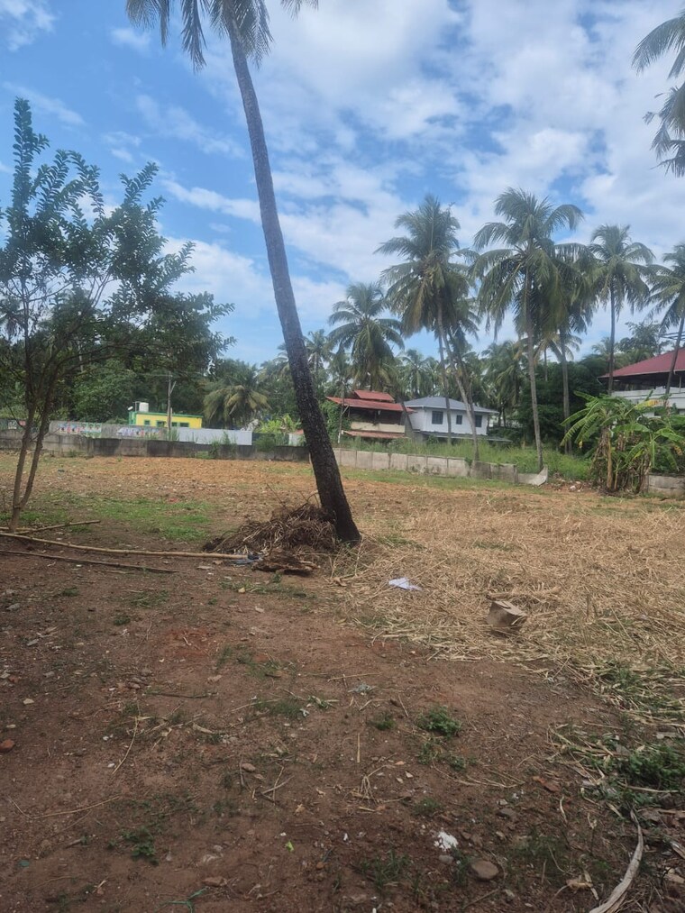Garden, west fort  3049 Sq.Ft. Plot In West Fort Thrissur 9721528