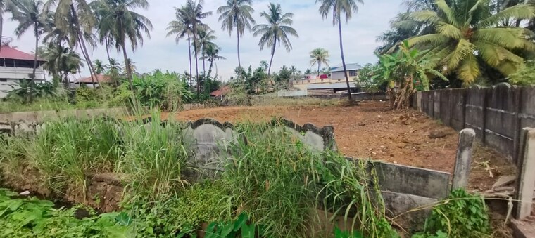 undefined, west fort  3049 Sq.Ft. Plot In West Fort Thrissur 9721528