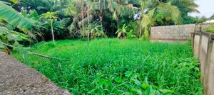  Plot – Garden View at Punkunnam - for Sale