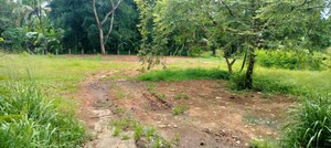 Plot Area in  Land at Marathakkara – for Sale