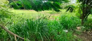 Plot Area in  Land at Marathakkara – for Sale