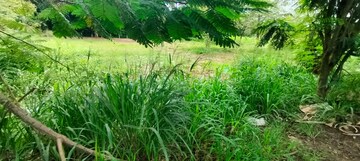 Plot Area in  Land at Marathakkara – for Sale