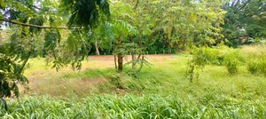 Plot Area in  Land at Marathakkara – for Sale