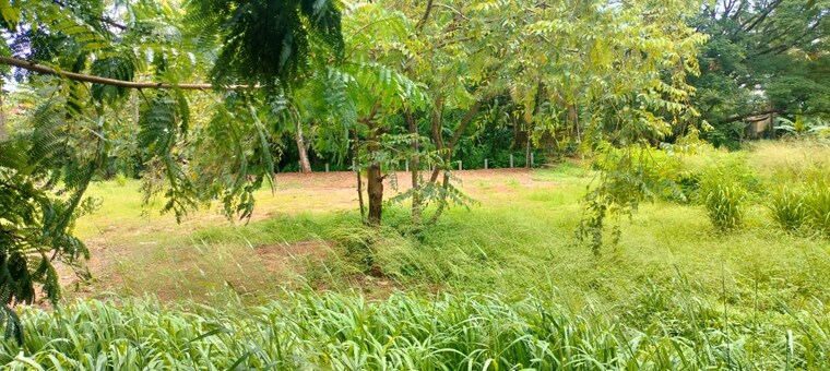 undefined, marathakkara Commercial Land 11761 Sq.Ft. In Marathakkara Thrissur 9721594