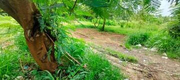  Land – Garden View at Marathakkara - for Sale