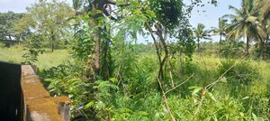  Land – Garden View at Kunnamkulam - for Sale