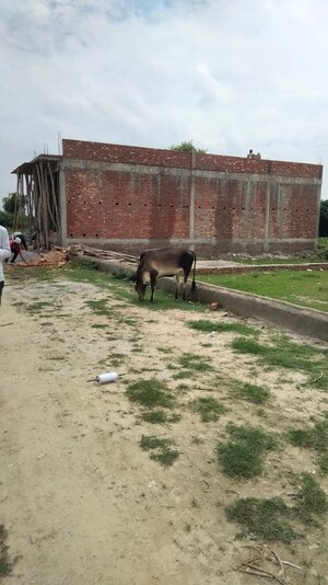  Plot – Exterior View View at Indira Nagar - for Sale