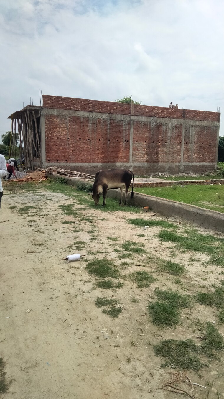 Exterior View, indira nagar  1250 Sq.Ft. Plot In Indira Nagar Lucknow 9721744