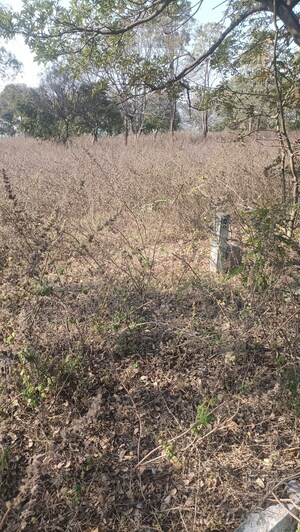 Plot Area in  Plot at Kothur – for Sale