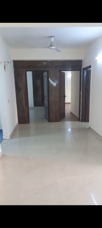 3 BHK Apartment For Rent in Sikka Karmic Greens, Sector 78