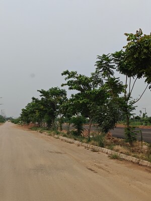 Plot Area in  Plot at Altus Prime, North Mullanpur – for Sale