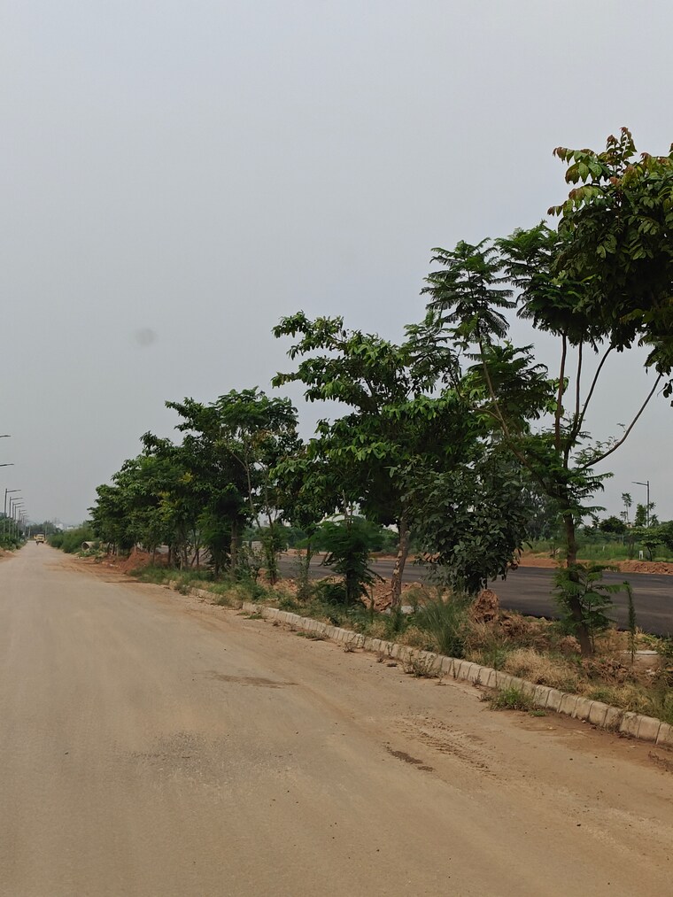 undefined, altus-prime  95 Sq.Yd. Plot In North Mullanpur Chandigarh 9716963