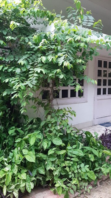 4 BHK Builder Floor – Exterior View View at Friends Colony - for Rent