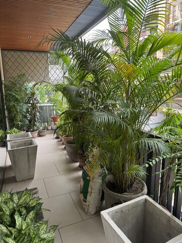 Balcony in 3 BHK Apartment at Green Park – for Sale