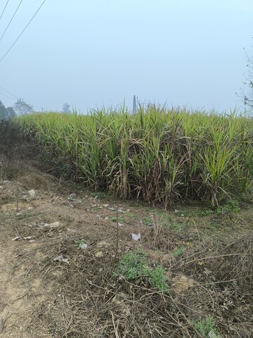  Land For Sale in Kanth Road