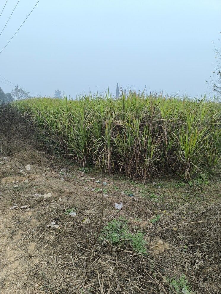 Cover Image, kanth road Commercial Land 2 Acre In Kanth Road Moradabad 9723014