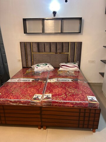 3 BHK Apartment For Rent in Trishla City, Patiala Road