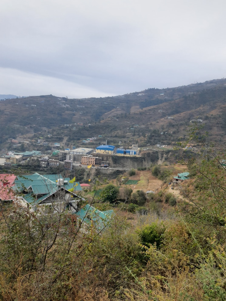 Garden, thoeg 6+ Bedroom 10000 Sq.Ft. Independent House In Thoeg Shimla 9723161