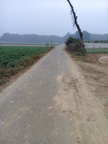  Plot For Sale in Paliya