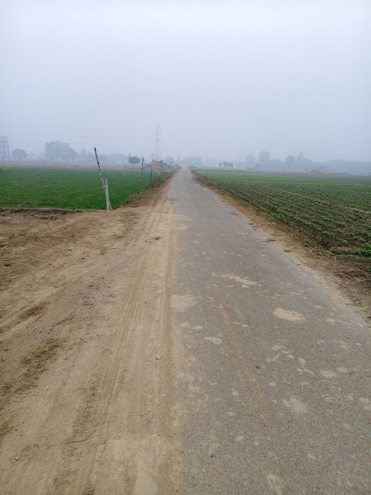 undefined, paliya  1000 Sq.Ft. Plot In Paliya Lucknow 9723413