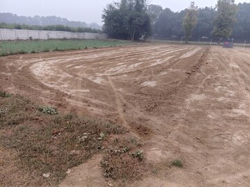 Plot Area in  Plot at Paliya – for Sale