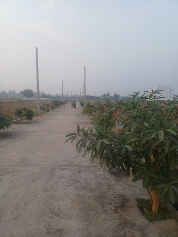  Plot – Exterior View View at Jewar - for Sale