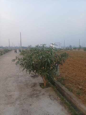  Plot – Exterior View View at Jewar - for Sale