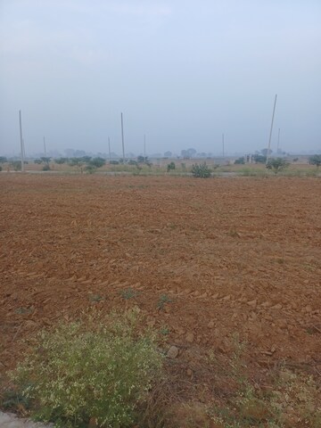  Plot – Exterior View View at Jewar - for Sale